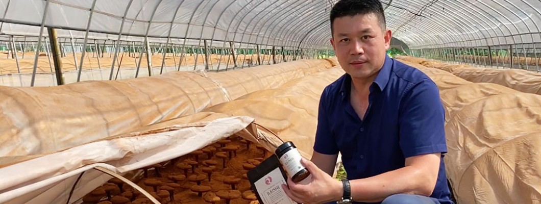 How Reishi Can Help You Stay Vibrant? How Reishi Can Help You Stay Vibrant?