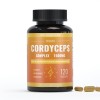 Cordyceps militaris Capsules