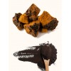 Chaga Extract