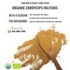 Cordyceps militaris Extract