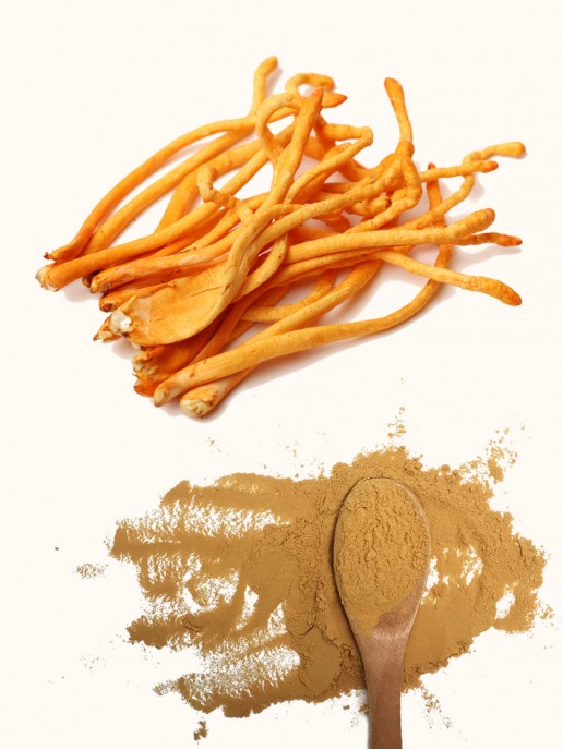 3'-deoxyadenosine 3'-deoxyadenosine