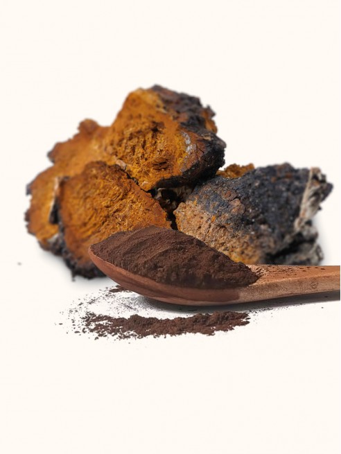 Ground Chaga Powder