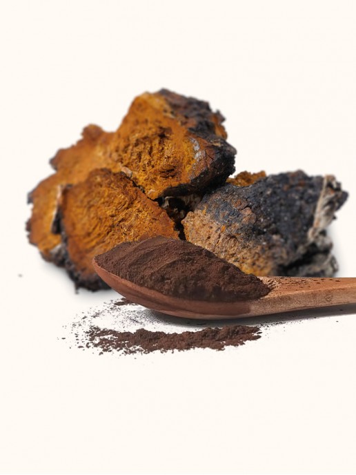 Ground Chaga Powder