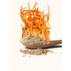 Ground Cordyceps Militaris Powder