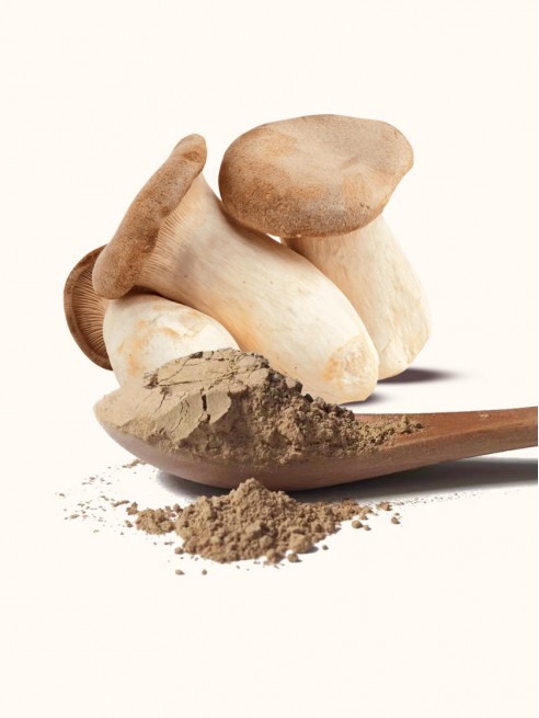 Ground King Oyster Mushroom Powder