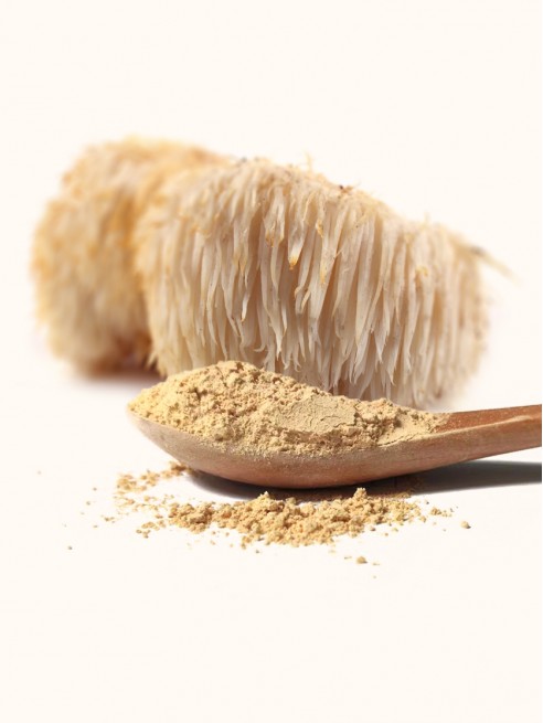 Ground Lion's Mane Powder