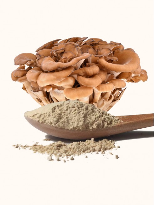 Ground Maitake Powder