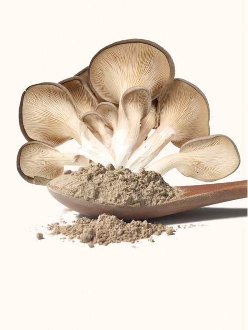 Ground Oyster Mushroom Powder