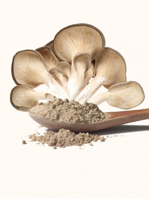 Ground Oyster Mushroom Powder