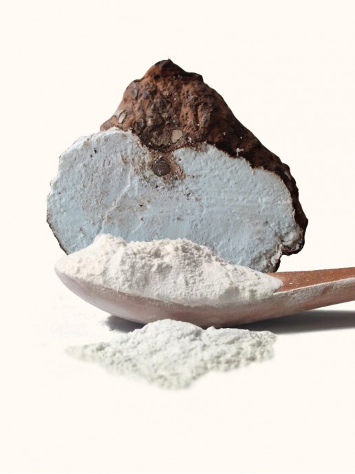 Ground Poria Cocos Powder