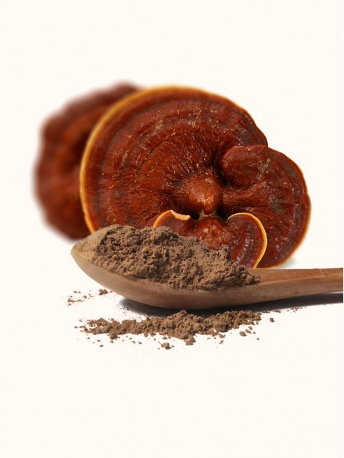 Ground Reishi Powder