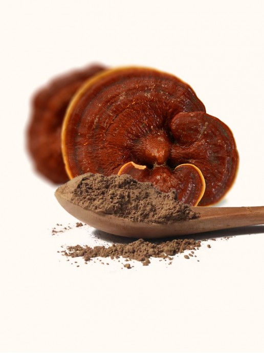 Ground Reishi Powder