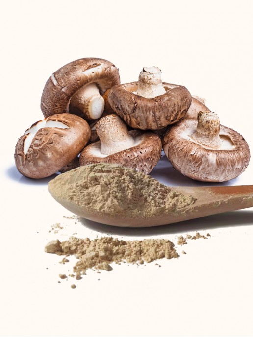 Ground Shiitake Powder