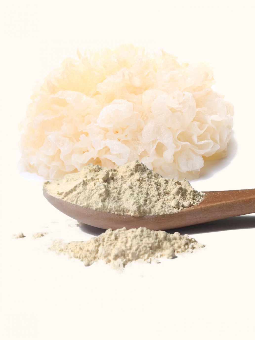 Tremella Mushroom Extract Powder Tremella Mushroom Extract Powder