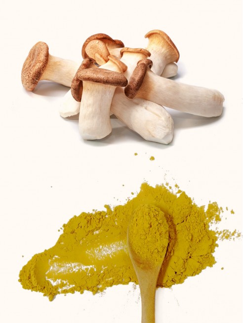 King Trumpet Mushroom Extract