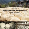 Lion's mane Mushroom Capsules