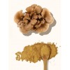 Maitake Extract