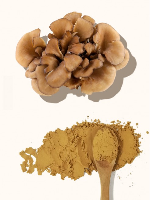 Maitake Extract