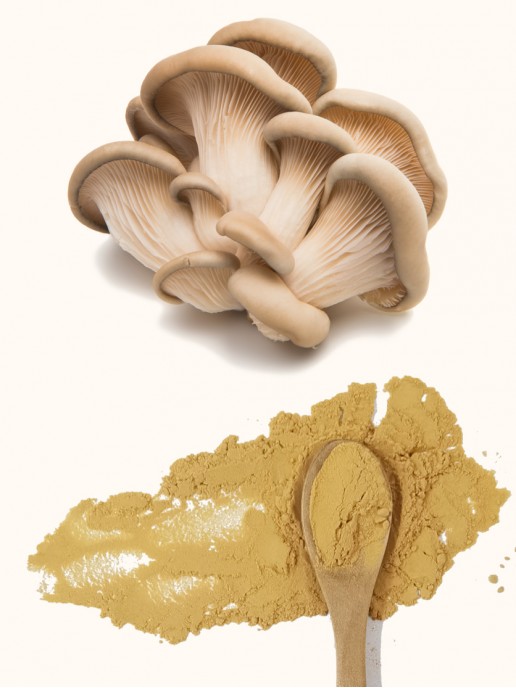 Oyster Mushroom Extract